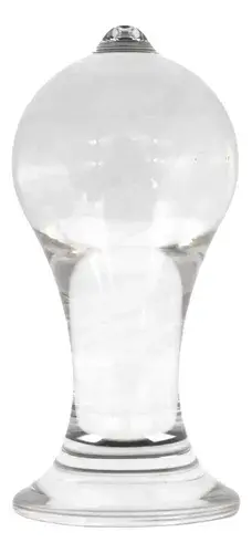 Plug de Vidrio Templado - imagen 5